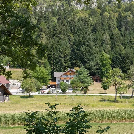 Tatil Evi Lavender Bled