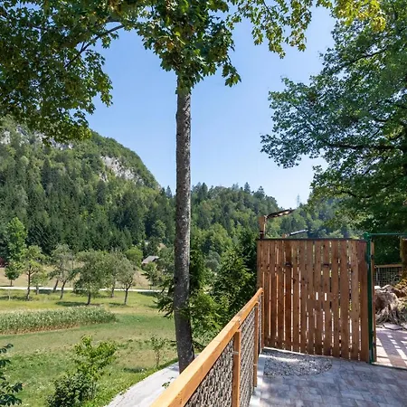 Lavender Holiday home