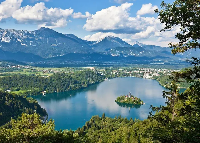 Lavender * ブレッド