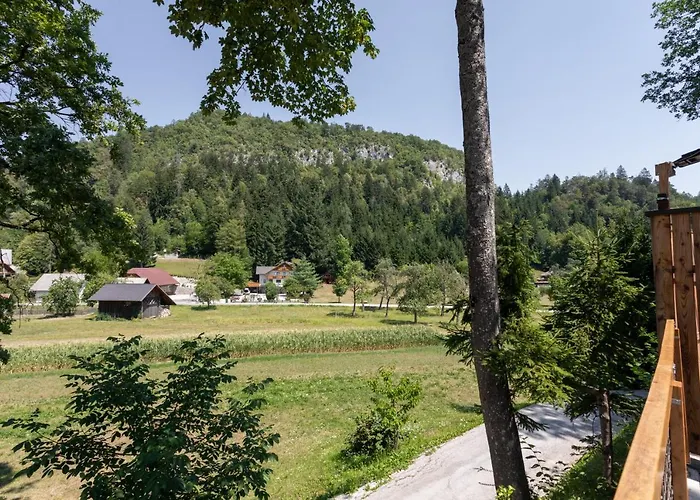 Lavender بيت للعطل